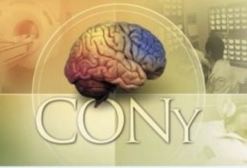 2019年第13届世界神经病学争议大会（CONy）