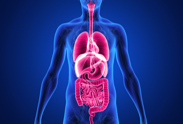 2022年第3届世界消化内镜大会（WEO/ENDO)