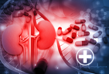 2025年世界肾脏病学大会（WCN）