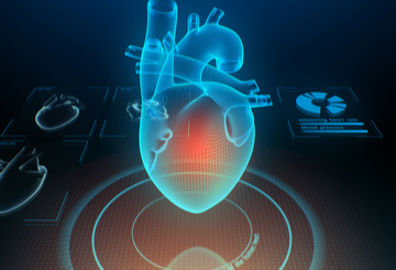 2019年第22届心血管磁共振学会科学会议（SCMR）