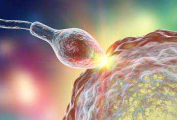 2018年地中海生殖医学学会年会