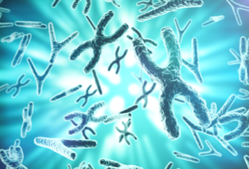 2026年第21届国际植入前遗传诊断学会年会（PGDIS)