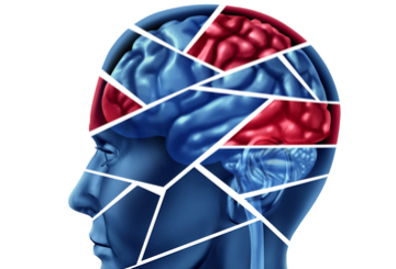 2019年第42届欧洲神经放射学会年会（ESNR）