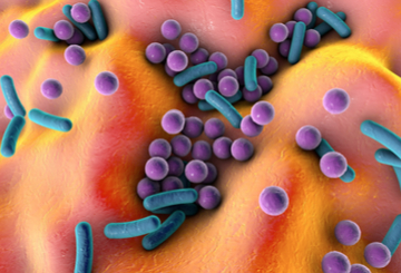 2017年第26届欧洲皮肤病与性病学会年会（EADV）