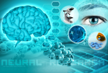 2019年第42届日本神经科学学会年会（JNS)