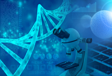 2019年第31届欧洲超声医学和生物学联合大会（EFSUMB）