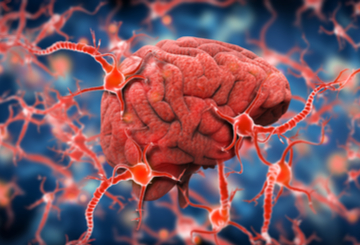 2019年第24届世界神经病学大会（WCN）