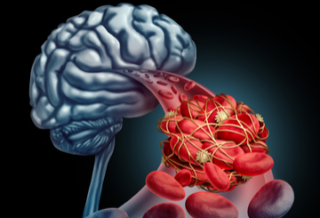 2019年第23届行为神经内分泌学协会年会（SBN）