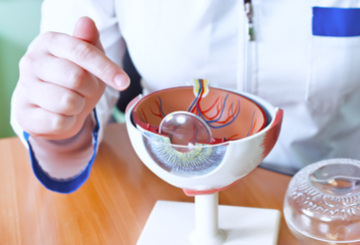 2026年第51届美国小儿眼科和斜视协会年会（AAPOS）