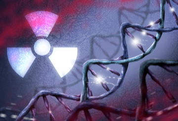 2018年欧洲心血管和介入性放射协会大会（CIRSE）