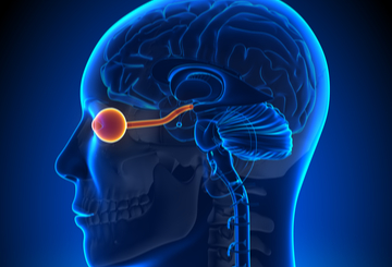 2019年加拿大眼科协会年会暨展览会（COS）