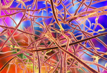 2019年秋季临床皮肤科大会