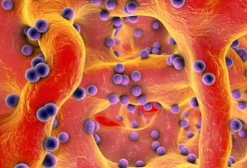 2019年第49届欧洲皮肤研究协会年会（ESDR）