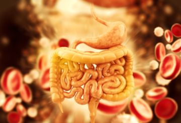 2018年美国胃肠病学会年会暨研究生课程（ACG）