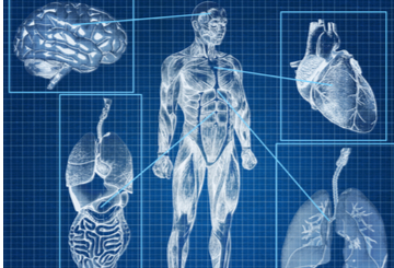 2019年动脉硬化、血栓和血管生物学科学会议（ATVB）