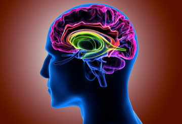 2018年第11届世界卒中大会（WSC）