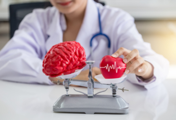 2018年第28届世界心血管和胸外科医师协会大会（WSCTS）