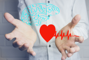 2019年第16届神经介入外科学会年会 (SNIS)