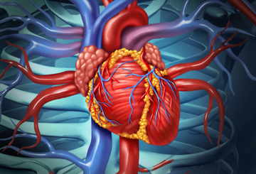 2019年第14届心血管代谢健康会议（CMHC）