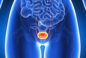 2017年第35届世界泌尿外科大会（WCE）