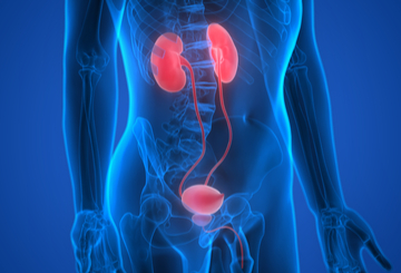 2019年第56届欧洲肾脏协会- 欧洲透析与移植协会会议（ERA-EDTA）