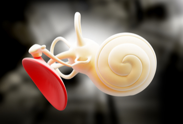 2019年第123届美国耳鼻喉及头颈外科学院大会（AAO-HNSF）