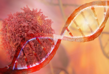 2026年第46届澳大利亚肿瘤医学组织年度科学会议（MOGA）