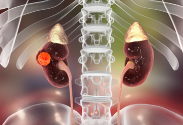 2019年澳大利亚肾脏学会年会（RSA）