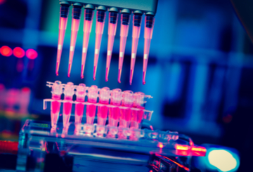 2019年第15届国际恶性淋巴瘤会议双年会（ICML）