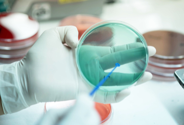 2019年第29届欧洲临床微生物学和传染病学会年会（ESCMID）