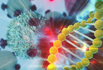 2018年第37届欧州放射治疗与肿瘤学会大会（ESTRO）