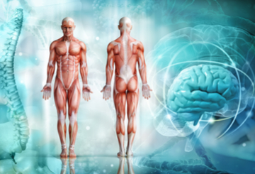 2019年第15届国际研讨会骨髓增生异常综合征