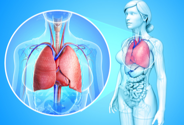 2019年第25届欧洲睡眠学会年会