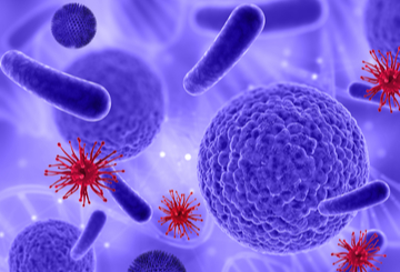 2018年第14届念珠菌和念珠菌病的会议ASM（两年一届）