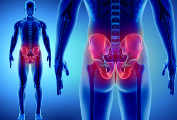 2021年第14届欧洲髋关节学会双年会（EHS)