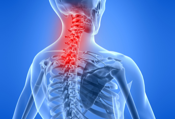 2019年第35届颈椎研究学会欧洲年会（CSRS-EU）