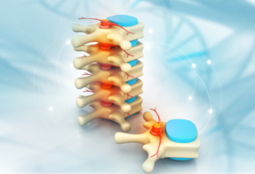 2019年第46届欧洲钙化组织学会会议（ECTS）