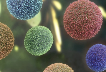 2019年第37届世界鼻科大会双年会