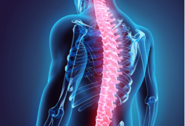 2021年美国脊骨放射学会年会（ASSR）