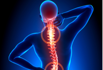 2019年第17届国际脊柱微创和外科手术研讨会（ISMISS/Symposium）