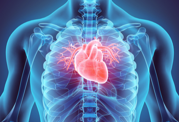 2023年先天性及结构性和瓣膜心脏病介入治疗D-HF研讨会（CSI&FOCUS D-HF）