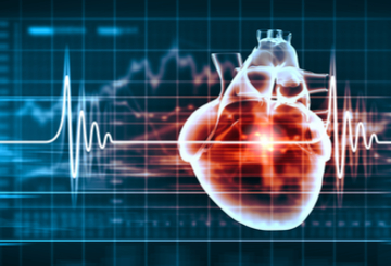 2023年国际心脏研究学会第42届北美分会年会（ISHR-NAS）
