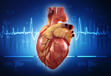 2022年美国心脏协会高血压科学会议（Hypertension）