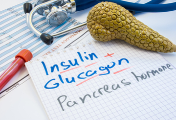 2026年第36届欧洲伤口管理协会年会（EWMA）