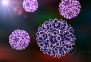 2026第42届国际医疗品质大会（ISQua）