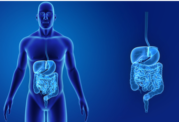 2020年第28届欧洲消化疾病周（UEGW）