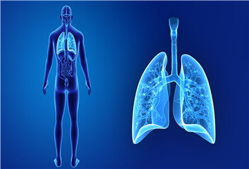 2014年第18届世界支气管学和介入肺病学大会（WCBIP/WCBE)