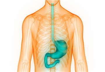 2026年第17届世界食管疾病大会双年会（OESO）