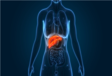 2018年第27届亚太肝病研究协会年会（APASL)