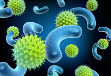 2017年第31届国际乳头瘤病毒大会(IPVC) 